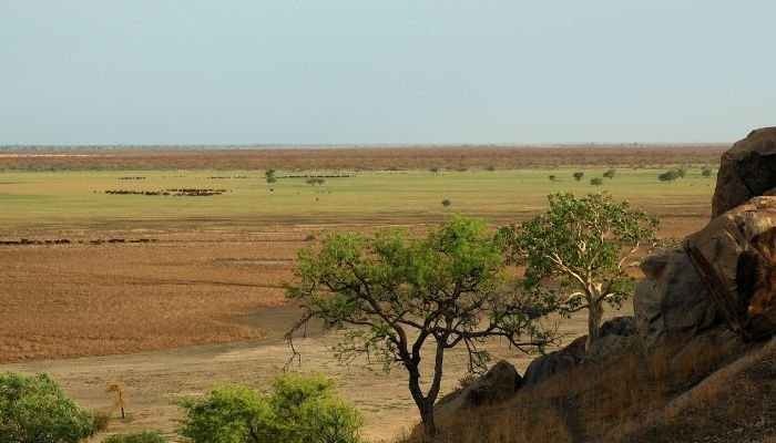 curiosidades-de-camerun-3.jpg
