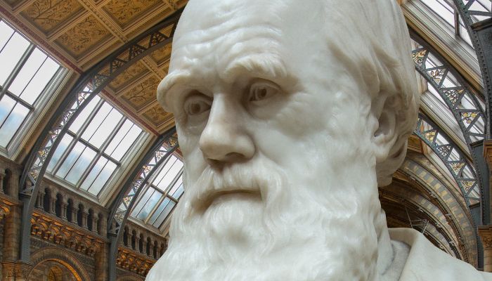 teoria de charles darwin 