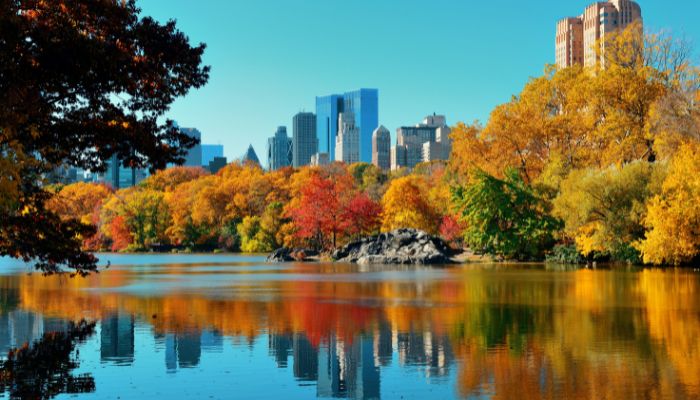 curiosidades de central park