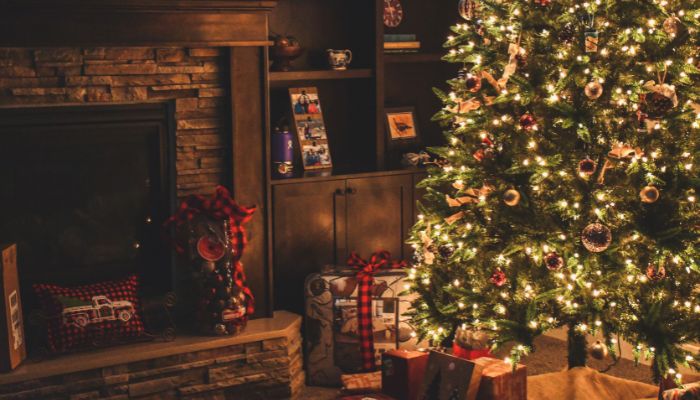 curiosidades de diciembre