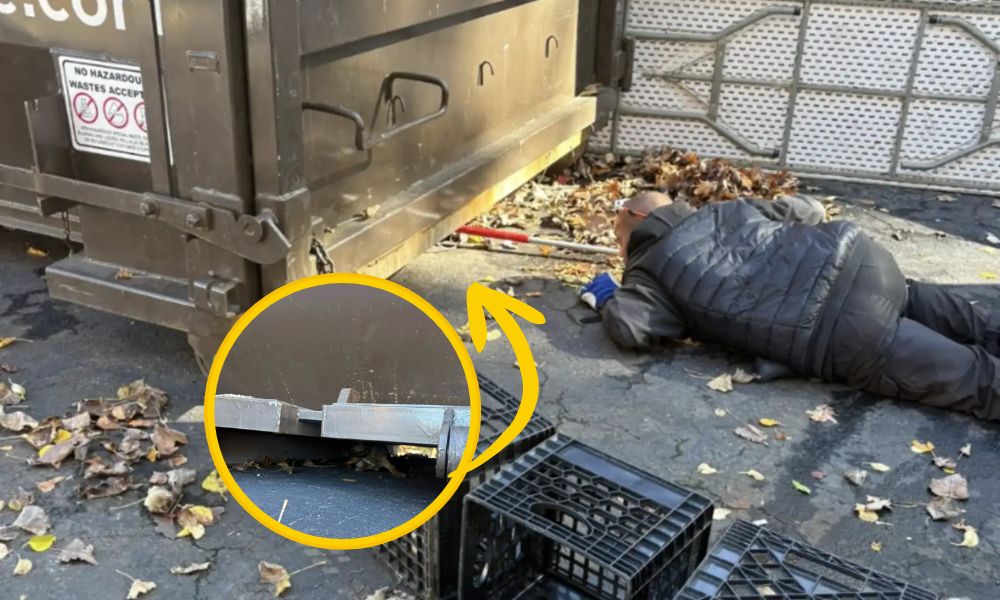 Trabajadores de evento en Colombia detienen todo al escuchar un gemido bajo un contenedor